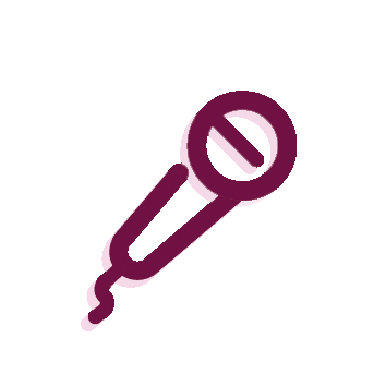 gesangstechnik - vocademie